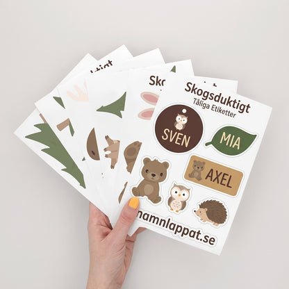 Forest animals